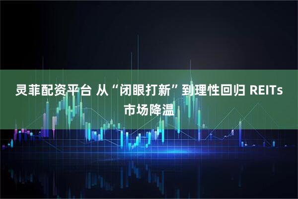 灵菲配资平台 从“闭眼打新”到理性回归 REITs市场降温