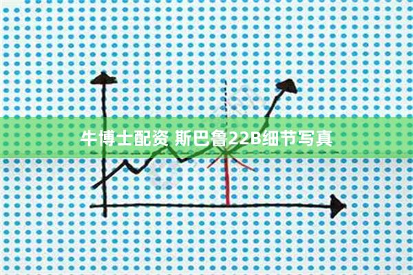 牛博士配资 斯巴鲁22B细节写真