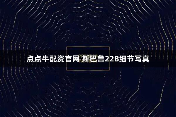 点点牛配资官网 斯巴鲁22B细节写真