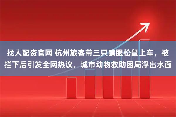 找人配资官网 杭州旅客带三只瞎眼松鼠上车，被拦下后引发全网热议，城市动物救助困局浮出水面